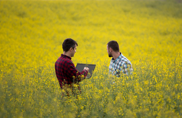 Farmers with laptop in rapessed field