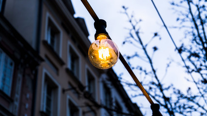 Decorative antique edison style light bulb 