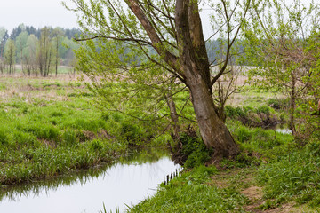 Wiosna nad rzeką © Mariusz Stoszewski
