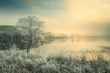 Hoar frost and snowy landscape