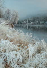 Hoar frost and snowy landscape
