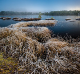 Frozen boreal forest in sunrise light.