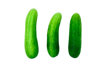 Fresh Cucumber isolated on white background, Cucumber texture