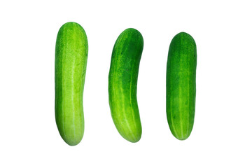 Fresh Cucumber isolated on white background, Cucumber texture