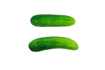 Fresh Cucumber isolated on white background, Cucumber texture