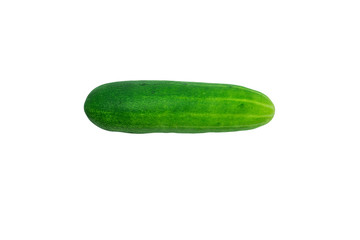 Fresh Cucumber isolated on white background, Cucumber texture