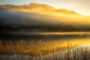 Foggy autumnal surise at Jonsvatnet, Norway