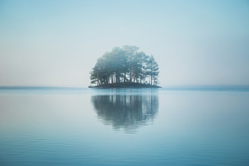 Tiny island covered by forest on the lake. - obrazy, fototapety, plakaty