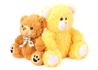 Two toy teddy bears isolated on white background