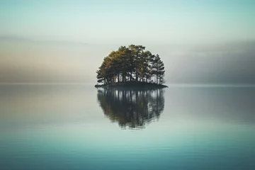 Fototapeten Winzige Insel bedeckt von Wald auf dem See. © Adrian