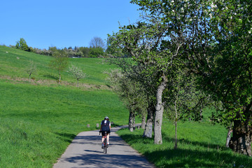 Fototapeta na wymiar A cyclist on a trail in a beautiful spring landscape in the Odenwald, Germany.
