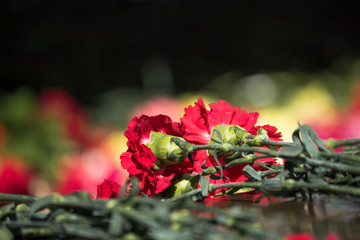 Red carnations on the background of the Immortal Regiment - the symbol of the great Victory/Victory...