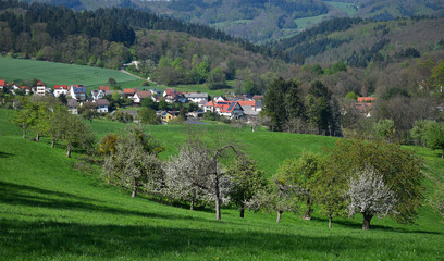 Fototapeta na wymiar The small town Oberflockenbach in spring in the Odenwald, Germany.
