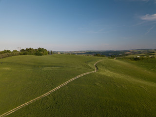 Verdi colline coltivate a grano nei pressi di Pesaro nella regione Marche in Italia 