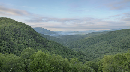 "Green Morning" spring morning in the mountains ZDS Blue Ridge Mountains Collection