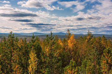 Autumn landscape view from the top of the mountain to the colorful autumn forest at sunset.