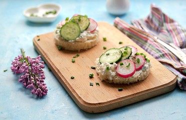 White bread sandwiches with salted cottage cheese, fresh radish and cucumber on a light blue background. Healthy food.