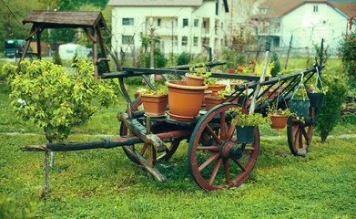 decorative cart with flowers in the yard
