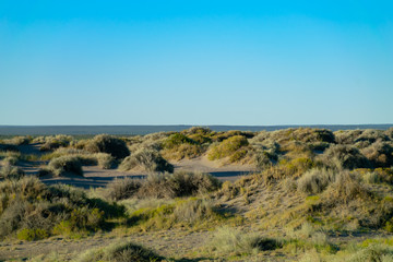 Fototapeta na wymiar Meadow horizon line with dry green grasses with soft blue sky.