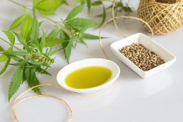 Hemp products concept. Cannabis seed oil, skein and green plant