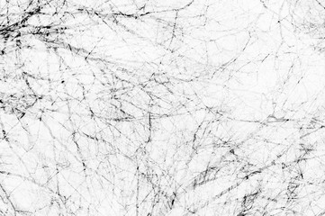 Fototapeta premium Double exposure abstraction with branches. White monochrome background.