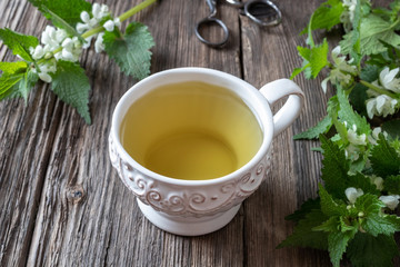 A cup of white dead-nettle tea with fresh plant