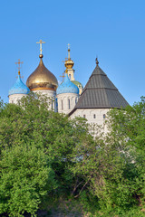 Russia. Moscow. Domes and watchtower of the Novospassky monastery