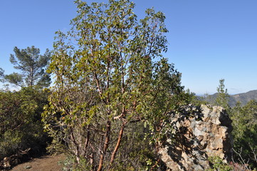 The beautiful natural mountain landscape in the Cyprus massif in the background at sunset