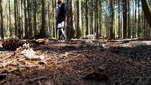 Hikers goes with dogs through the Kunraticky forest (Kunraticky les) in Prague - (4K)