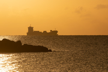 container ship with scenic coastal landscape