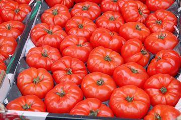Fresh big red tomatoes at the market