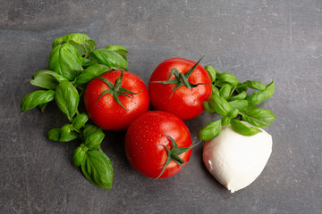 tomate mozzarella basilikum