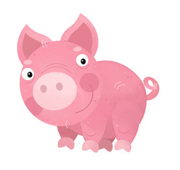 cartoon scene with pig on white background - illustration for children