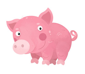 cartoon scene with pig on white background - illustration for children