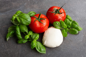 tomate mozzarella basilikum