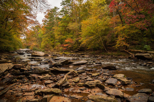 Sope Creek Trail