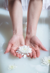 Obraz na płótnie Canvas photo close-up white flower in female hands in a natural milk bath with foam