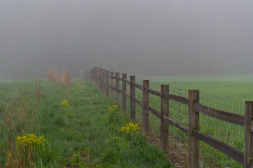 Obraz premium Foggy Fence 2
