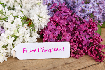 Frohe Pfingsten!