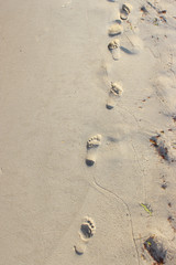 Footsteps in sandy on the beach. Summer vacation on the sea beach.