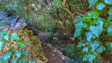 Obraz premium Kauai Trail