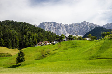Fototapeta na wymiar green pasture in Austria alps near border with Slovenia, Carinthia region