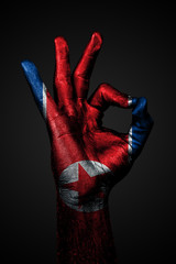 A hand with the painted flag of north korea shows an OK sign on a dark background.
