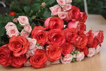 rose
