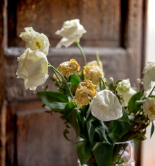 Close-Up Of Wilted White Rose