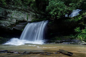 Fototapeta premium Summer at Raper Creek