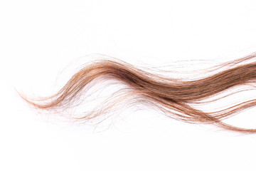 Curly light brown hair - White background