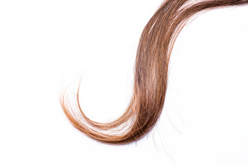 Curly light brown hair - White background
