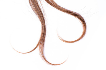 Curly light brown hair - White background
