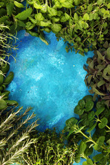 Homegrown and aromatic herbs on rustic background with rosemary and basil